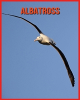 Albatross: Fun Facts and Amazing Photos of Animals in Nature B08VXJBWF2 Book Cover