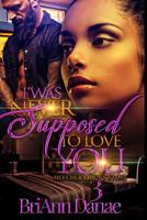 I Was Never Supposed To Love You 3: Meechi & Erica's Story 1724285157 Book Cover