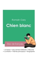 Réussir son Bac de français 2023: Analyse de Pseudo de Romain Gary 2385093324 Book Cover