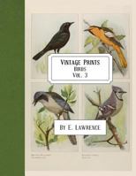 Vintage Prints: Birds: Vol. 3 1717053378 Book Cover