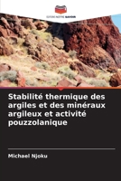 Stabilité thermique des argiles et des minéraux argileux et activité pouzzolanique (French Edition) 6208190940 Book Cover