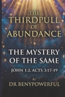 THE THIRDPULL OF ABUNDANCE B0GQT5XYFW Book Cover