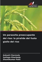 Un parassita preoccupante del riso: la piralide del fusto giallo del riso (Italian Edition) 6209896006 Book Cover