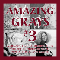 Amazing Grays #3: A Grayscale Adult Coloring Book with 50 Fine Photos of People, Places, Pets, Plants & More 1620356147 Book Cover