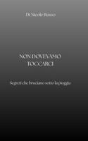 NON DOVEVAMO TOCCARCI: Segreti che bruciano sotto la pioggia (Italian Edition) B0GY3MWBVF Book Cover