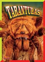 Tarantulas 1644660245 Book Cover
