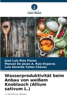 Wasserproduktivität beim Anbau von weißem Knoblauch (Allium sativum L.) (German Edition) 6207983262 Book Cover