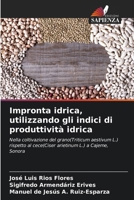 Impronta idrica, utilizzando gli indici di produttività idrica (Italian Edition) 6207672577 Book Cover