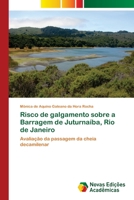 Risco de galgamento sobre a Barragem de Juturnaíba, Rio de Janeiro: Avaliação da passagem da cheia decamilenar 6202409630 Book Cover