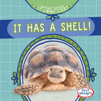 It Has a Shell! 1482470829 Book Cover