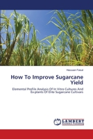 How To Improve Sugarcane Yield: Elemental Profile Analysis Of In Vitro Cultures And Ex-plants Of Elite Sugarcane Cultivars 3659492116 Book Cover