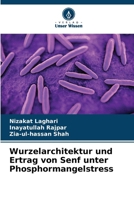 Wurzelarchitektur und Ertrag von Senf unter Phosphormangelstress (German Edition) 6209889727 Book Cover