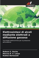 Elettrosintesi di alcoli mediante elettrodi a diffusione gassosa (Italian Edition) 6208192889 Book Cover