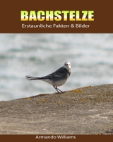 Bachstelze: Erstaunliche Fakten & Bilder 1694626989 Book Cover
