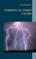 Tempete Au Temps Calme 2322126578 Book Cover