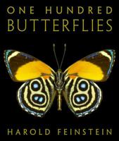 One Hundred Butterflies 0316033634 Book Cover