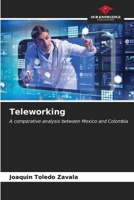 Teleworking 6207002504 Book Cover
