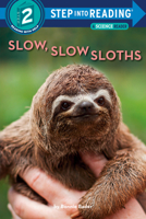 Slow, Slow Sloths 0593432444 Book Cover
