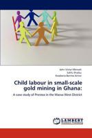 Child labour in small-scale gold mining in Ghana:: A case study of Prestea in the Wassa West District 3847332309 Book Cover