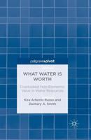 What Water Is Worth: Overlooked Non-Economic Value in Water Resources 1349343455 Book Cover