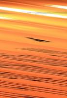 Your LifeBuilder: Ride the Vision of Your Life 0971976104 Book Cover