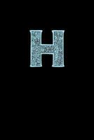 H: Decorative Monogram Notebook 1798028751 Book Cover