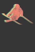 Notebook: College Ruled 6x9 120 Pages Freestyle Ski Skiing Skier Retro Vintage Halfpipe 1082244767 Book Cover
