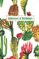 Addresses & Birthdays : Watercolor Blooming Cactus 1793995664 Book Cover