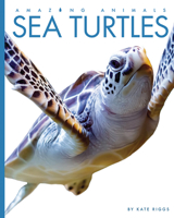 Sea Turtles 1682770680 Book Cover