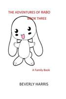 The Adventures of RABO - Book Three: A Family Book 1980727341 Book Cover