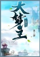 ???: ??? (Chinese Edition) 1088244769 Book Cover