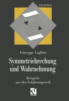 Symmetriebrechung Und Wahrnehmung: Beispiele Aus Der Erfahrungswelt 332285048X Book Cover