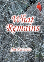 What Remains B0FDNFQ9K9 Book Cover