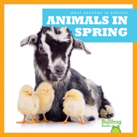 Animals in Spring 1620314789 Book Cover