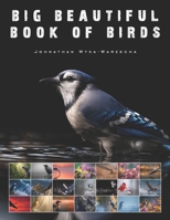 Big Beautiful Book of Birds: Large Two Page Pictures of Avian Wildlife | Coffee Table Book B0GJ44Q2QL Book Cover