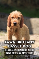 Fawn Brittany Basset Dog: General Information About Fawn Brittany Basset Dog: Learn About Fawn Brittany Basset Dog B09DDV2CLT Book Cover