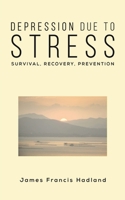 Depression Due to Stress 1528901614 Book Cover