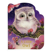 A Little Owl 1680526316 Book Cover