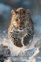 Leopard Photo Collection: Beautiful Full-Page Pictures of Leopards and Cub for All Ages (Simple Photo Books). B0GG6BHN7C Book Cover