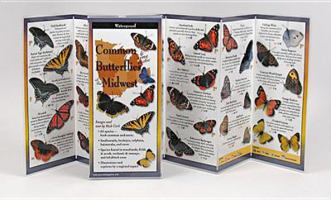 Common Butterflies of the Midwest 1621260194 Book Cover