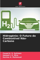 Hidrog�nio: O Futuro do Combust�vel N�o-Carbono 6204120166 Book Cover