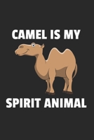 Kamel Notizbuch: Kamel Notizbuch für Liebhaber / Notizheft / Notizblock A5 (6x9in) Dotted Notebook / Punkteraster / 120 gepunktete Seiten (German Edition) 1671659295 Book Cover