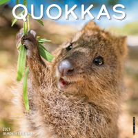 Quokkas 2025 12 X 12 Wall Calendar 1549246569 Book Cover