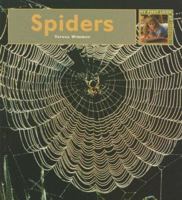 Spiders (My First Look at: Insects) (My First Look At: Insects) 1583414568 Book Cover