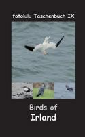 Birds of Irland: fotolulu Taschenbuch IX 3744822591 Book Cover