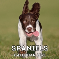 Spaniels: 2021 Spaniel Wall Calendar, Cute Gift Idea For Spaniel Lovers Or Owners Men And Women null Book Cover