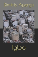Igloo B0H739JKG7 Book Cover