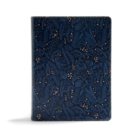 CSB Study Bible, Black/Brown LeatherTouch 1535971029 Book Cover