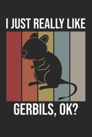 I Just Really Like Gerbils, OK?: DIN A5 Wüstenrennmaus Notizheft gepunktet | 120 Seiten gepunktetes Wüstenrennmaus Notizbuch für Notizen in Schule, ... | Eine tolles Geschenk für Ihre Liebsten. 1672192617 Book Cover
