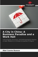 A City in China: A Business Paradise and a Work Hell 663021014X Book Cover